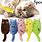 Chewy Cat Toys