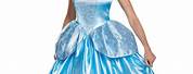 Cinderella Fancy Dress