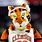 Clemson Tiger Mascot
