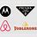 Companies with Triangle Logos