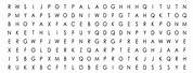 Computer Science Vocabulary Word Search