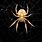 Cool Spider Backgrounds