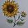 Cool Sunflower Drawings