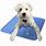 Cooling Pads for Dogs