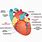 Coronary Heart