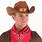 Cowboy Costume Hats