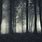 Creepy Night Forest