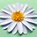Cricut Daisy Flower