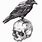 Crow Skull Art