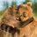 Cute Bear Hug