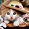 Cute Cats and Kittens Wallpaper