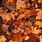 Cute Fall Leaves iPhone Wallpaper