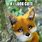 Cute Fox Memes