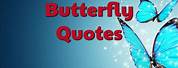 Cute Galaxy Butterfly Quotes