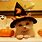 Cute Halloween Cat Desktops