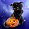 Cute Halloween Cats Images