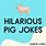 Cute Pig Jokes