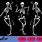 Dancing Skeleton Girl