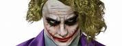 Dark Knight Joker Wig