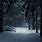 Dark Snowy Forest Wallpaper