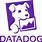Datadog Icon