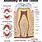 Dental Anatomy Chart