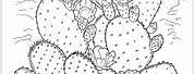 Desert Cactus Plants Coloring Pages