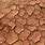Desert Dirt Texture