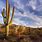 Desert Landscape with Cactus