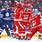 Detroit Red Wings Winter Classic