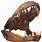 Dinosaur Jaw Bone
