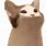Discord Emotes Cat GIF