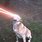 Dog Laser Eyes