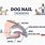 Dog Nail Diagram