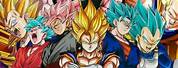 Dragon Ball Z Super Saiyan Goku Collage