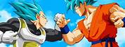 Dragon Ball Z Super Saiyan Goku and Vegeta