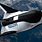 Dream Chaser Space Plane