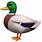Duck Emoji Apple