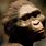 Earliest Human Ancestor