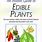Edible Plants Guide