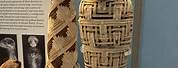 Egyptian Cat Mummy Art