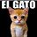 El Gato Munchkin Cat Meme