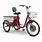 Electric Motor Adult Tricycle