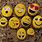 Emoji Rock Painting