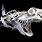 Esqueleto De Tiburon