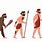 Evolution of Man PNG