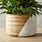 Extra Large Indoor Plant Pots