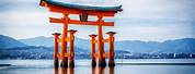 Famous Shinto Shrines in Japan