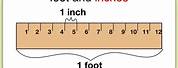 Feet and Inches Ruler