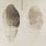 Fingerprint Impression